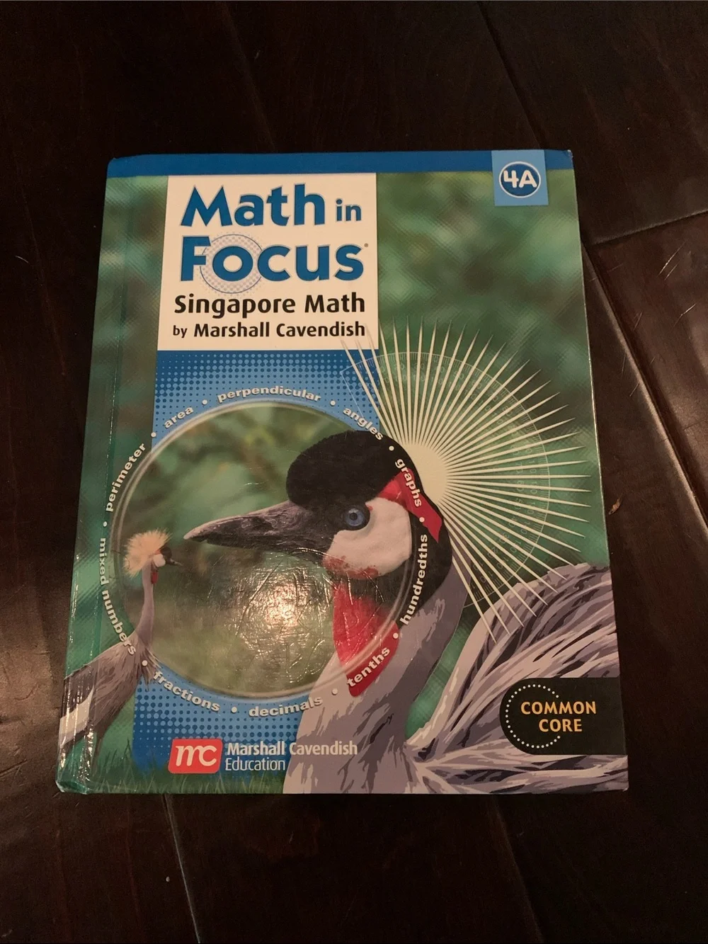 Marshall Cavendish Math in Focus 4A Student Book - Green